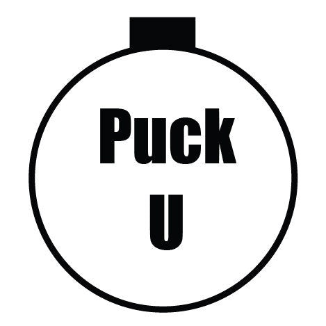 Party Puck - Puck U - A container that looks like a hockey Puck, Birthday Favor, Wedding  Favor, Custom Hockey Puck